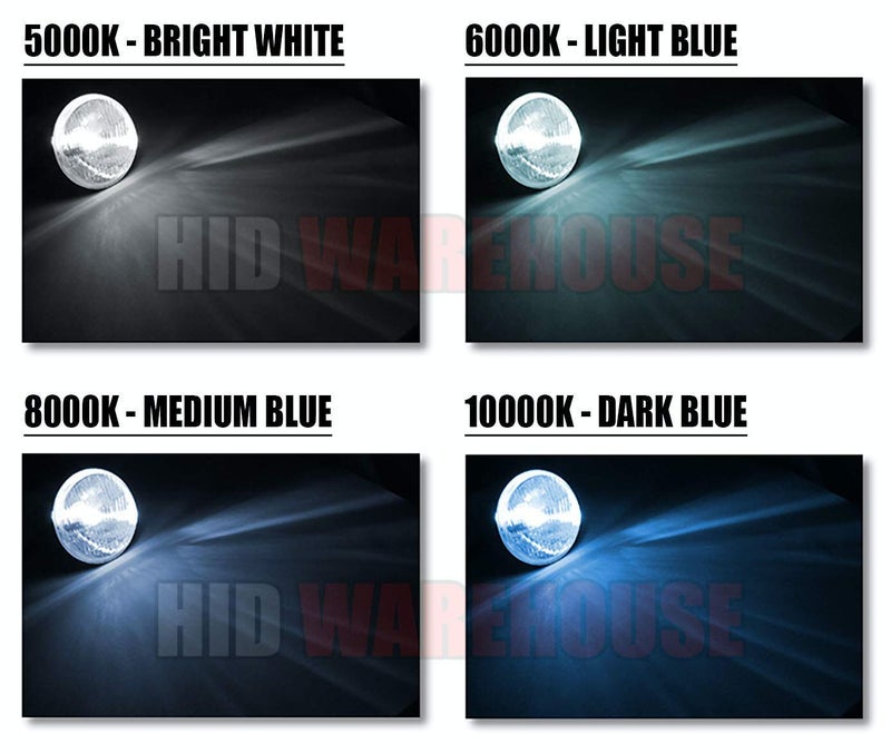 HID-Warehouse HID Xenon Replacement Bulbs - H1 6000K - Light Blue (1 Pair) - Image 5